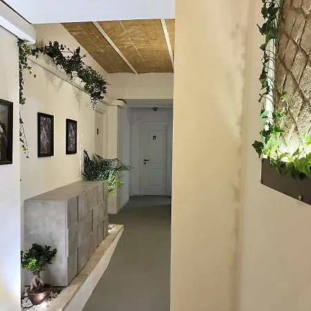 Domus Avi - Рим